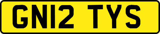 GN12TYS