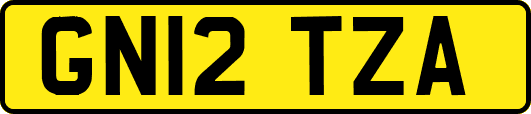 GN12TZA