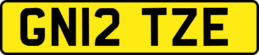 GN12TZE