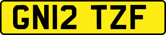 GN12TZF