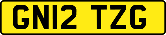 GN12TZG