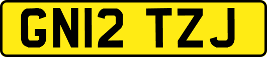 GN12TZJ