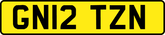 GN12TZN