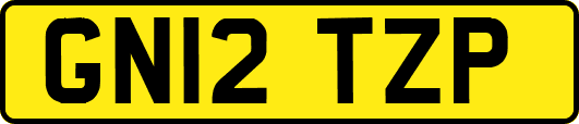 GN12TZP