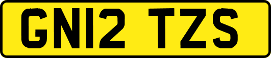 GN12TZS