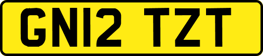 GN12TZT