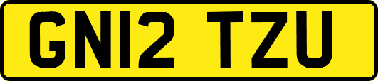 GN12TZU