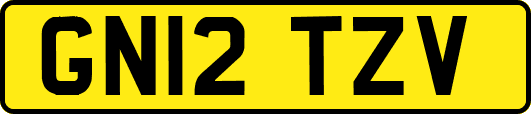 GN12TZV