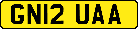 GN12UAA