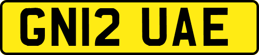 GN12UAE