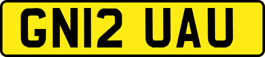 GN12UAU