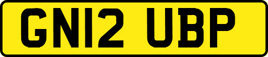 GN12UBP