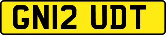 GN12UDT