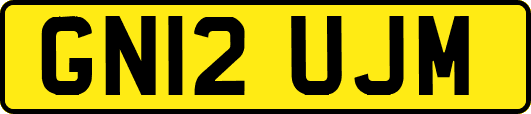 GN12UJM