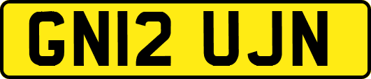 GN12UJN