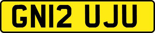 GN12UJU