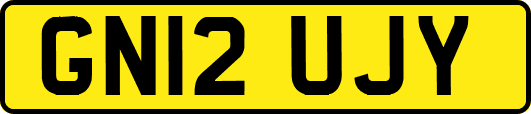GN12UJY