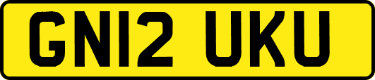 GN12UKU
