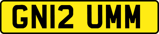 GN12UMM