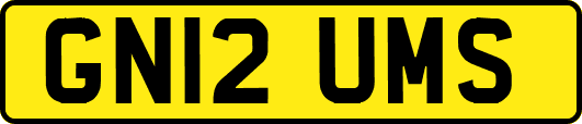 GN12UMS