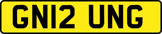 GN12UNG
