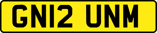 GN12UNM