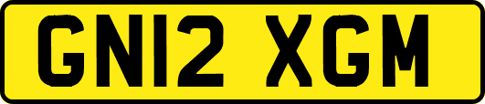 GN12XGM