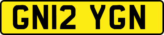 GN12YGN