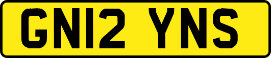 GN12YNS
