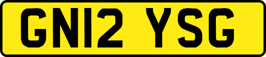 GN12YSG