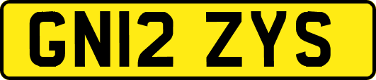 GN12ZYS