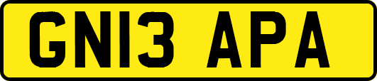 GN13APA
