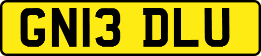 GN13DLU