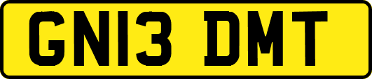 GN13DMT