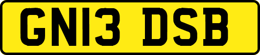 GN13DSB