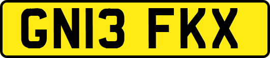 GN13FKX