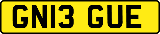 GN13GUE