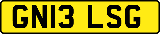 GN13LSG