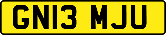 GN13MJU