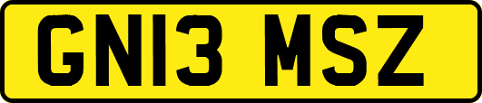 GN13MSZ