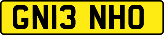 GN13NHO