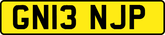 GN13NJP
