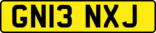 GN13NXJ