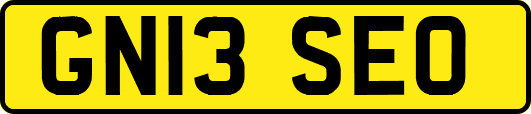 GN13SEO
