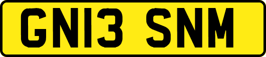 GN13SNM