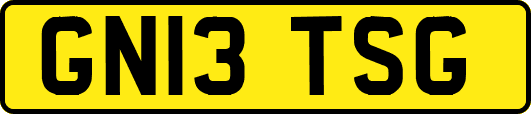 GN13TSG