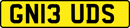 GN13UDS