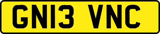 GN13VNC