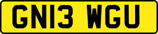 GN13WGU