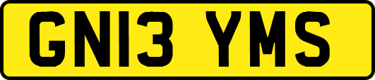 GN13YMS